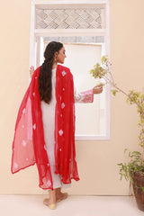 Elegant Embroidered Lawn 3pc Summer Outfit with Chiffon Dupatta