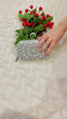02-Meher Crystal Embellished Evening Clutch – by AmmaraN