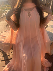 Peach Chiffon Frock with Embroidered Lace – Subtle & Sophisticated for Festive Wear