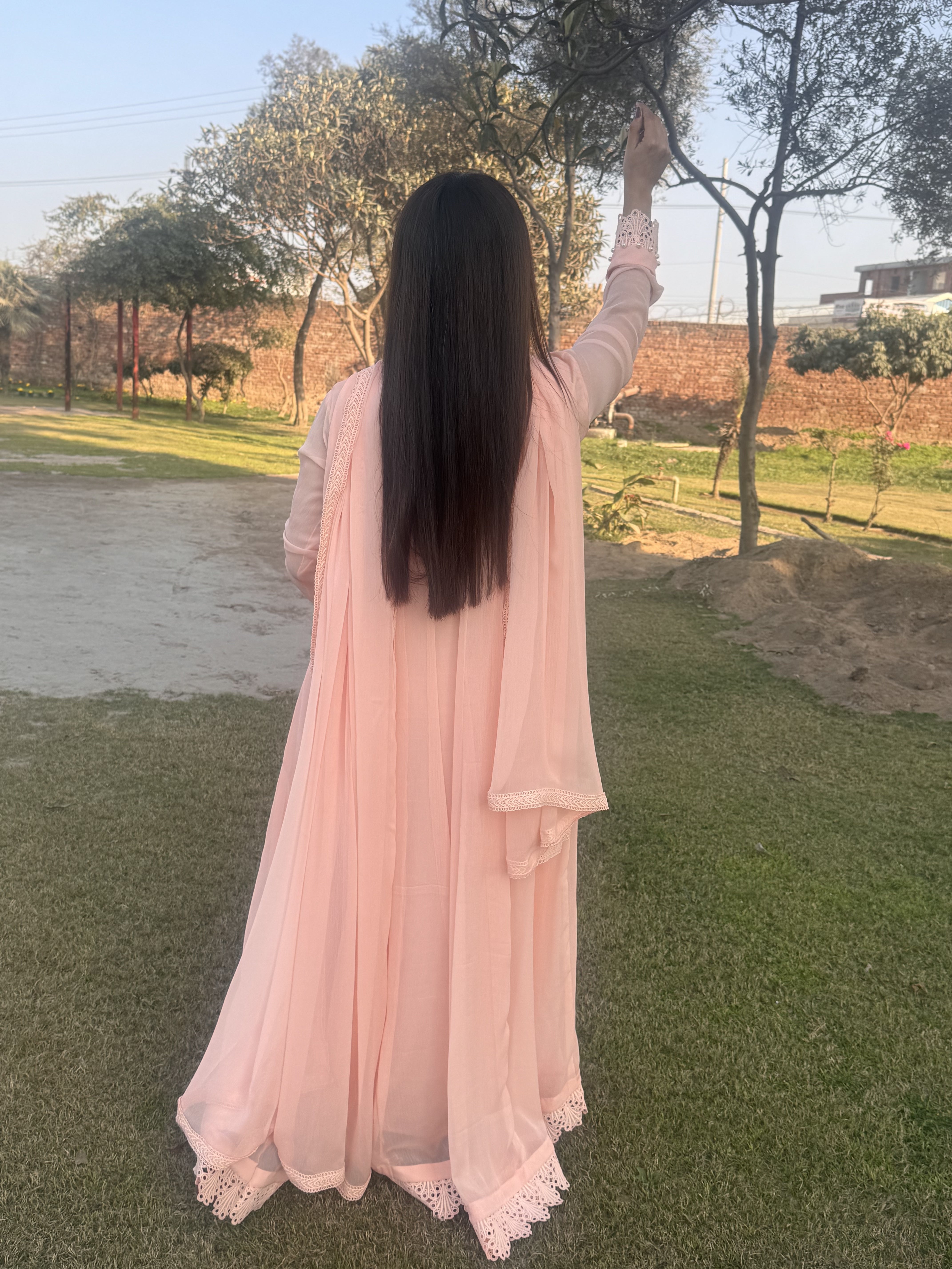 Peach Chiffon Frock with Embroidered Lace – Subtle & Sophisticated for Festive Wear